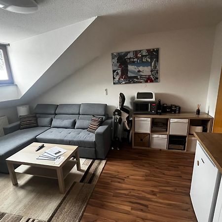 Family Apartment Sumava バイエリッシュ・アイゼンシュタイン エクステリア 写真