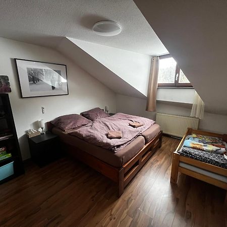 Family Apartment Sumava バイエリッシュ・アイゼンシュタイン エクステリア 写真
