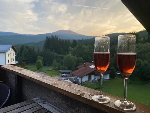 Family Apartment Sumava バイエリッシュ・アイゼンシュタイン エクステリア 写真