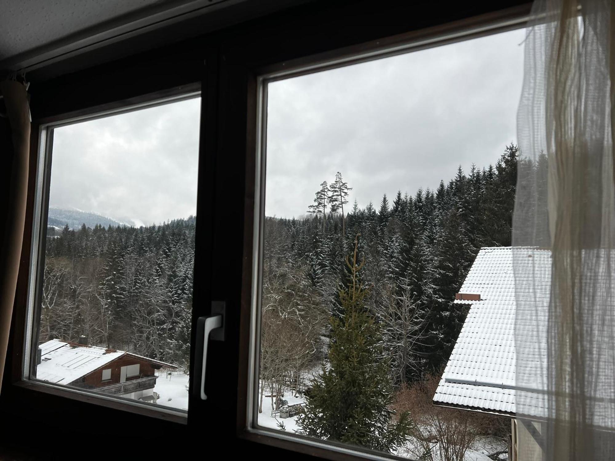 Family Apartment Sumava バイエリッシュ・アイゼンシュタイン エクステリア 写真
